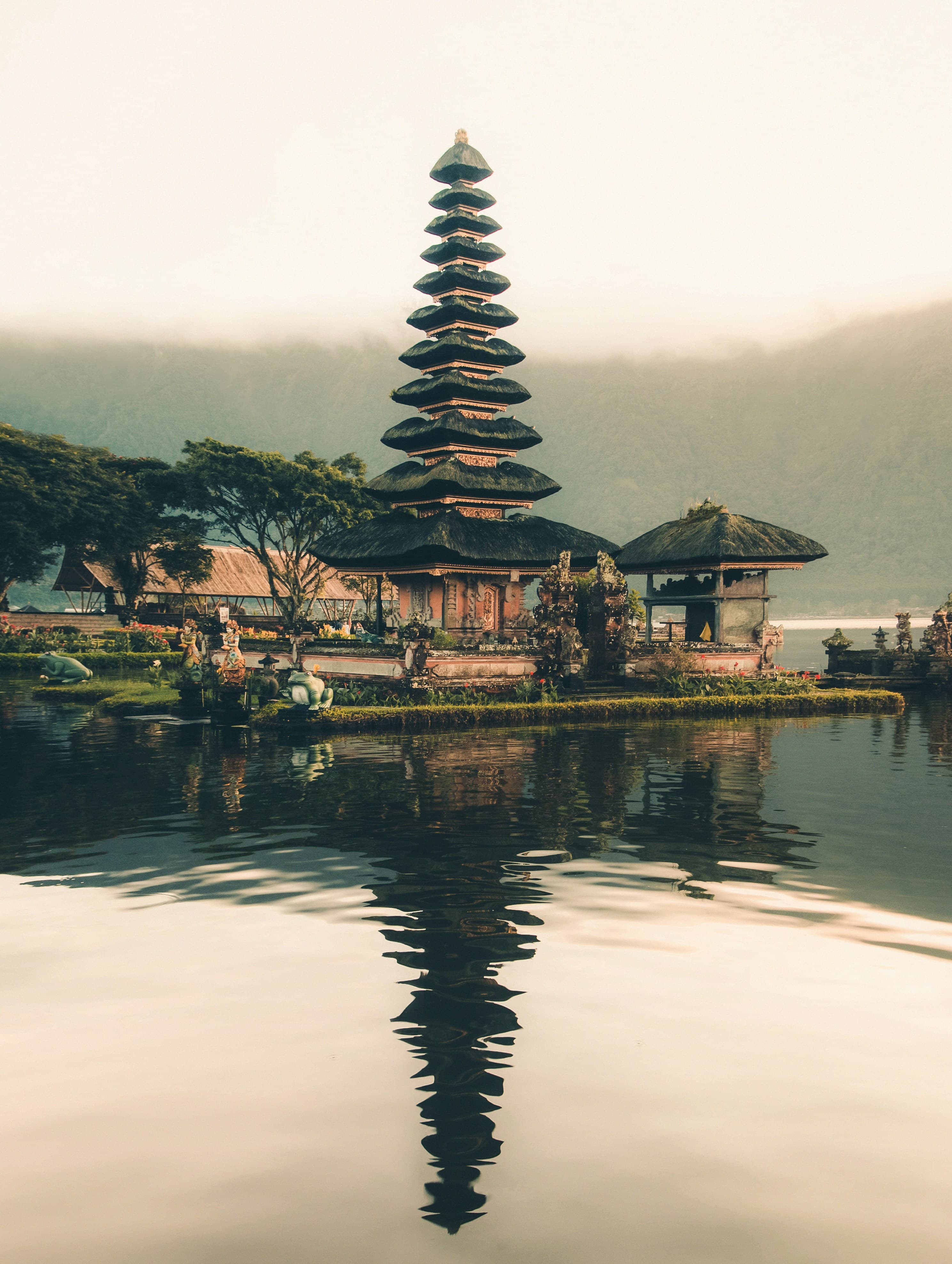 Dream trip